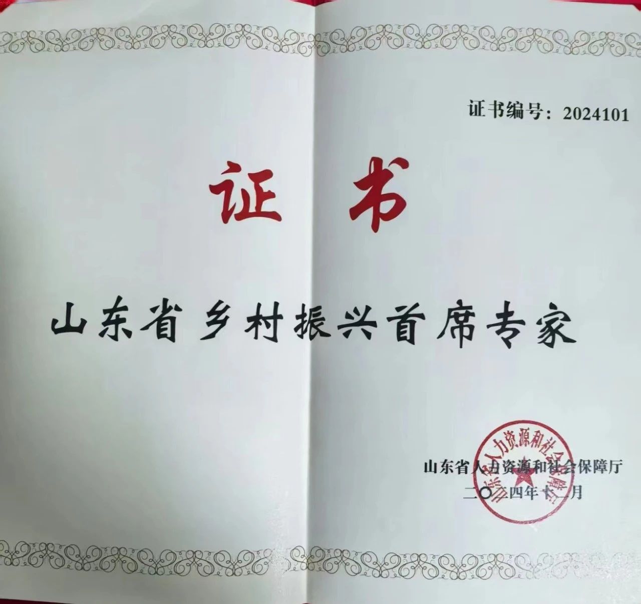 证书 杨飞.jpg